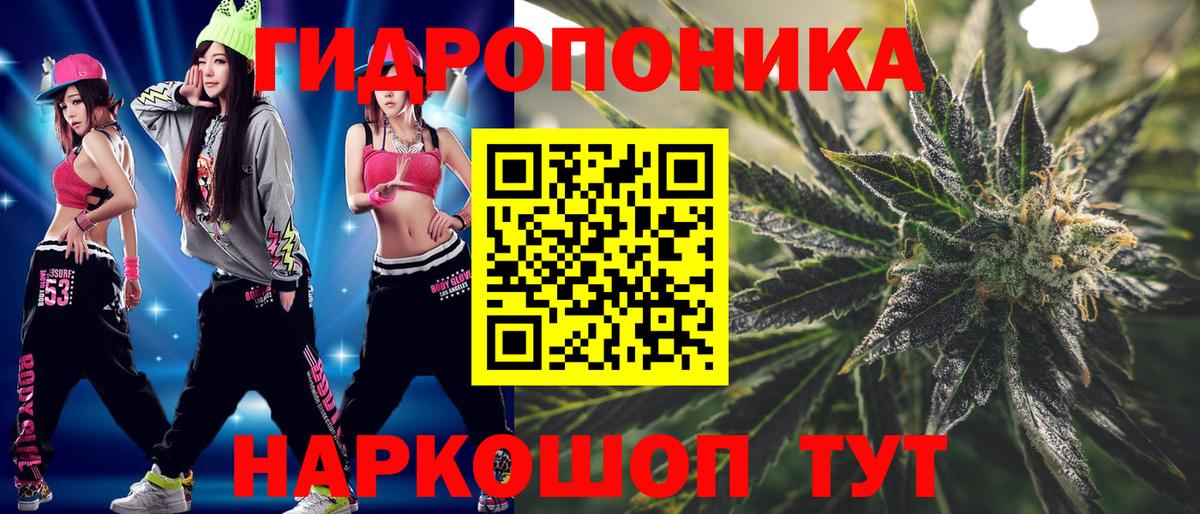 Каннабис сатива Хабаровск